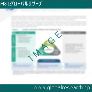 グローバルリサーチ調査レポートのイメージ